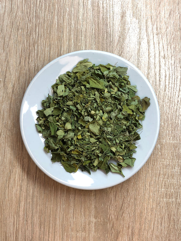 Moringa en hojas — vista 2