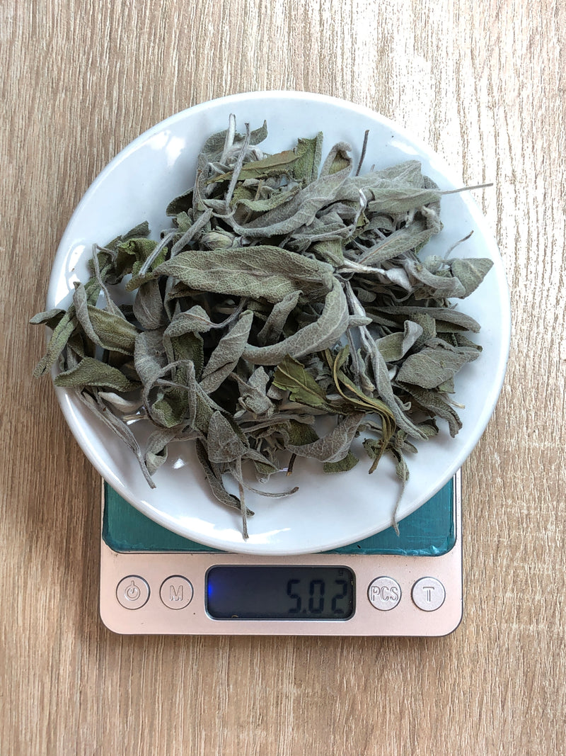 Salvia en hojas