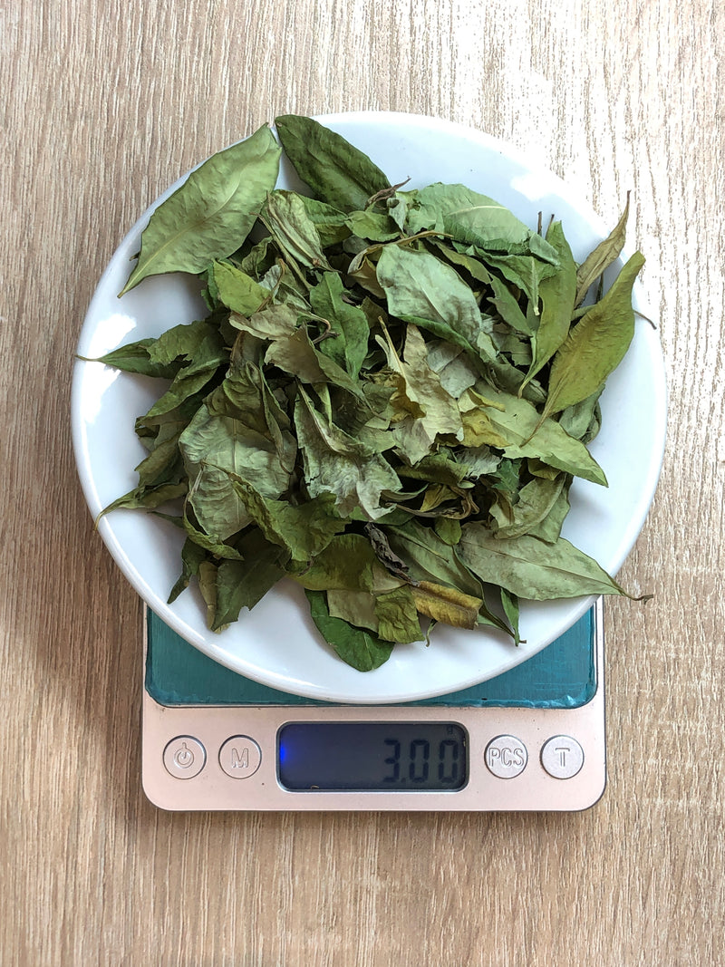 Hoja de Coca