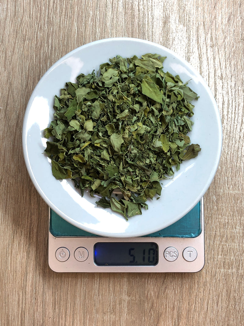 Moringa en hojas