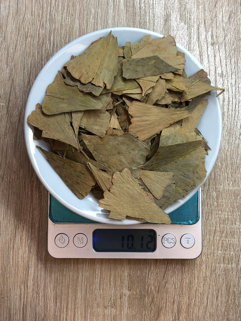 Ginkgo Biloba en hojas
