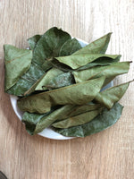 Hojas de Guanábana