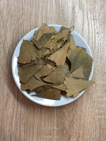 Ginkgo Biloba en hojas