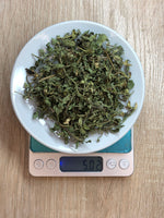 Menta en hoja