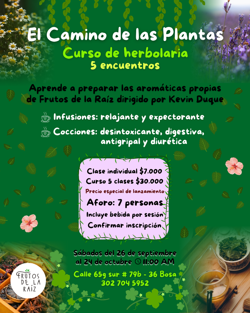 El Camino de las Plantas