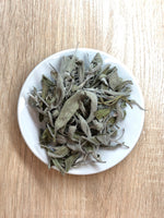 Salvia en hojas