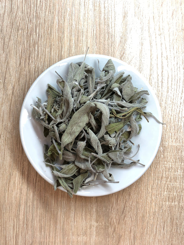 Salvia en hojas — vista 2