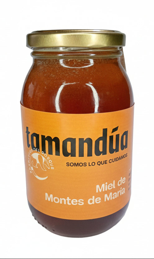 Miel de Montes de María 500ml